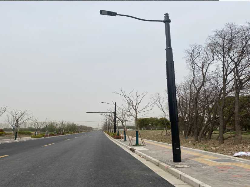 滨海县上海综合杆 太阳能路灯工程